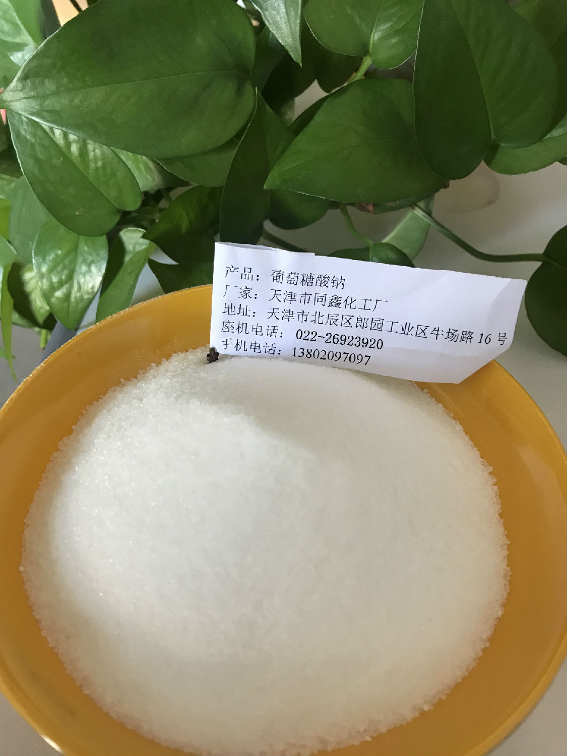 葡萄糖酸钠 (2)_副本.jpg 葡萄糖酸钠 (20)_副本.jpg